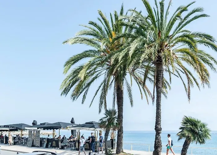 Superbe Studio Avec Terrasse En Front De Mer